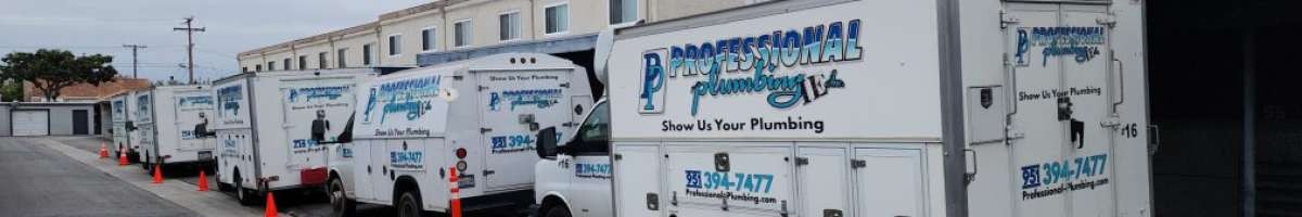 Professional Plumbing Inc. 