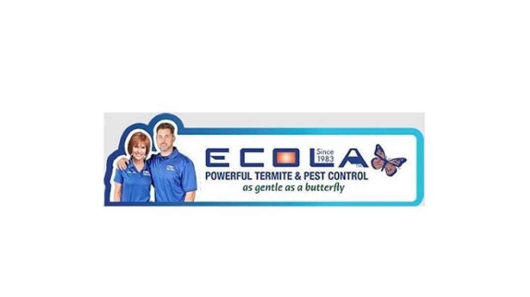 Ecola Termite - Affordable Pest Control in Oxnard, CA